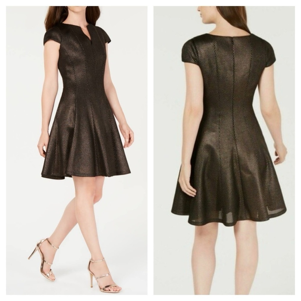 julia jordan
Mesh Jacquard Fit & Flare Dress size 6
